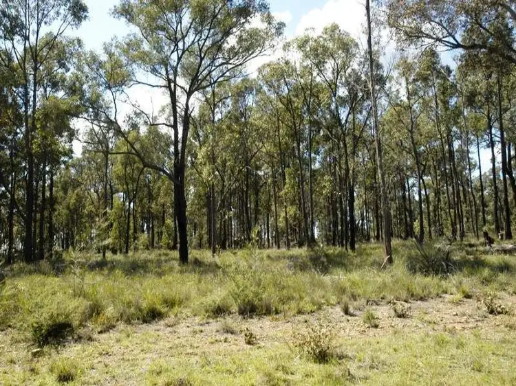 Lot 1 Esen Way, Pheasants Nest NSW 2574