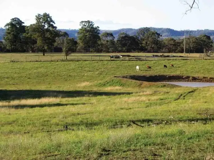 Lot 35 Lyrebird Road, Pheasants Nest NSW 2574