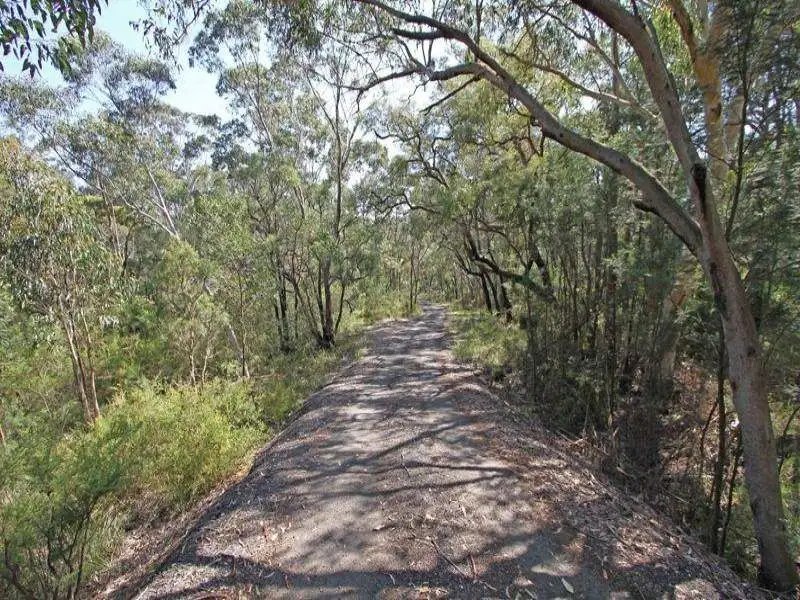 Main view of Homely rural property listing, 295 Wilton Road, Wilton NSW 2571