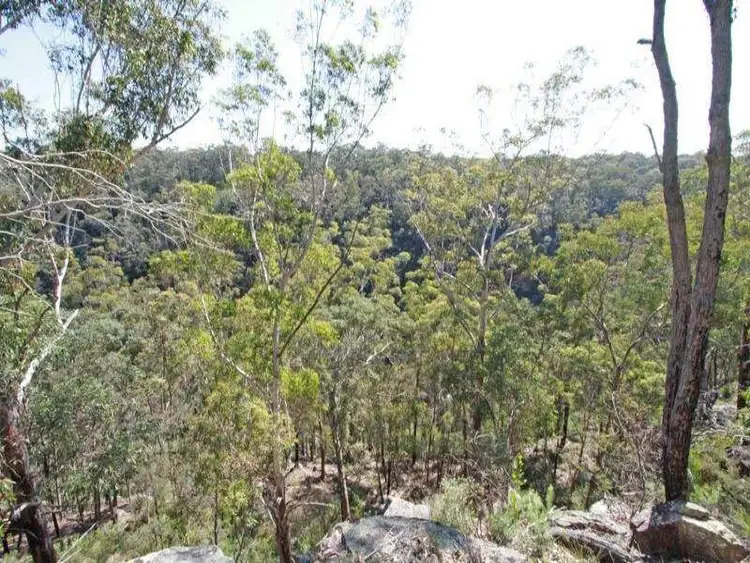 Sixth view of Homely rural property listing, 295 Wilton Road, Wilton NSW 2571