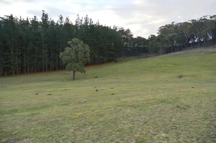 Sixth view of Homely rural property listing, 686 Red Hills Road, Marulan NSW 2579