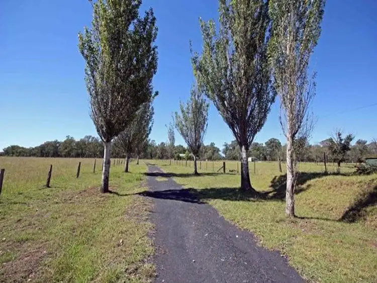Sixth view of Homely rural property listing, 585 Pheasants Nest Road, Pheasants Nest NSW 2574