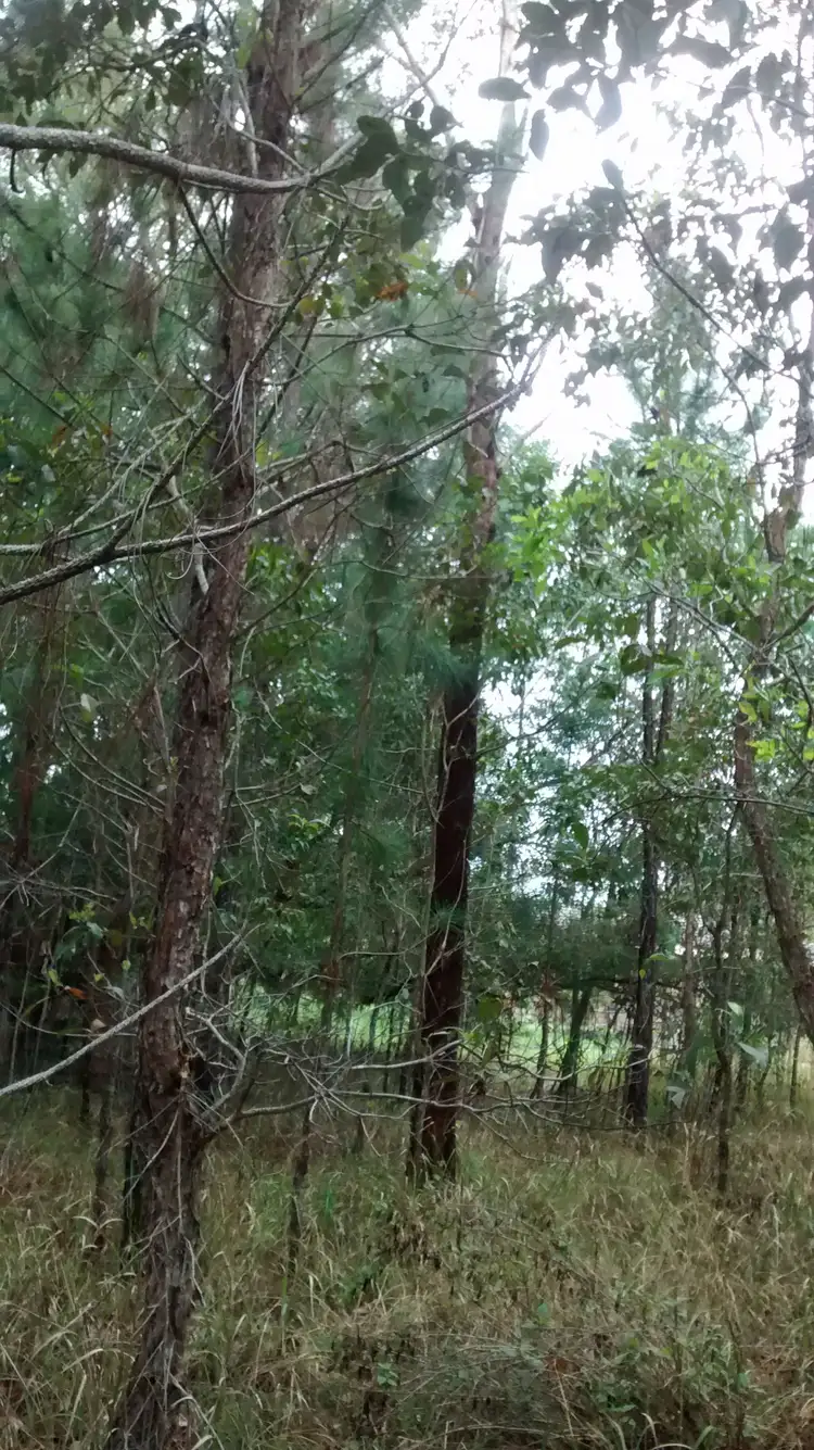 Lot 30 Australia Drive, Gulmarrad NSW 2463