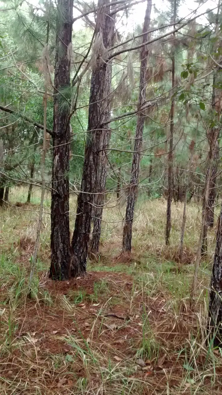 Second view of Homely land listing, Lot 30 Australia Drive, Gulmarrad NSW 2463