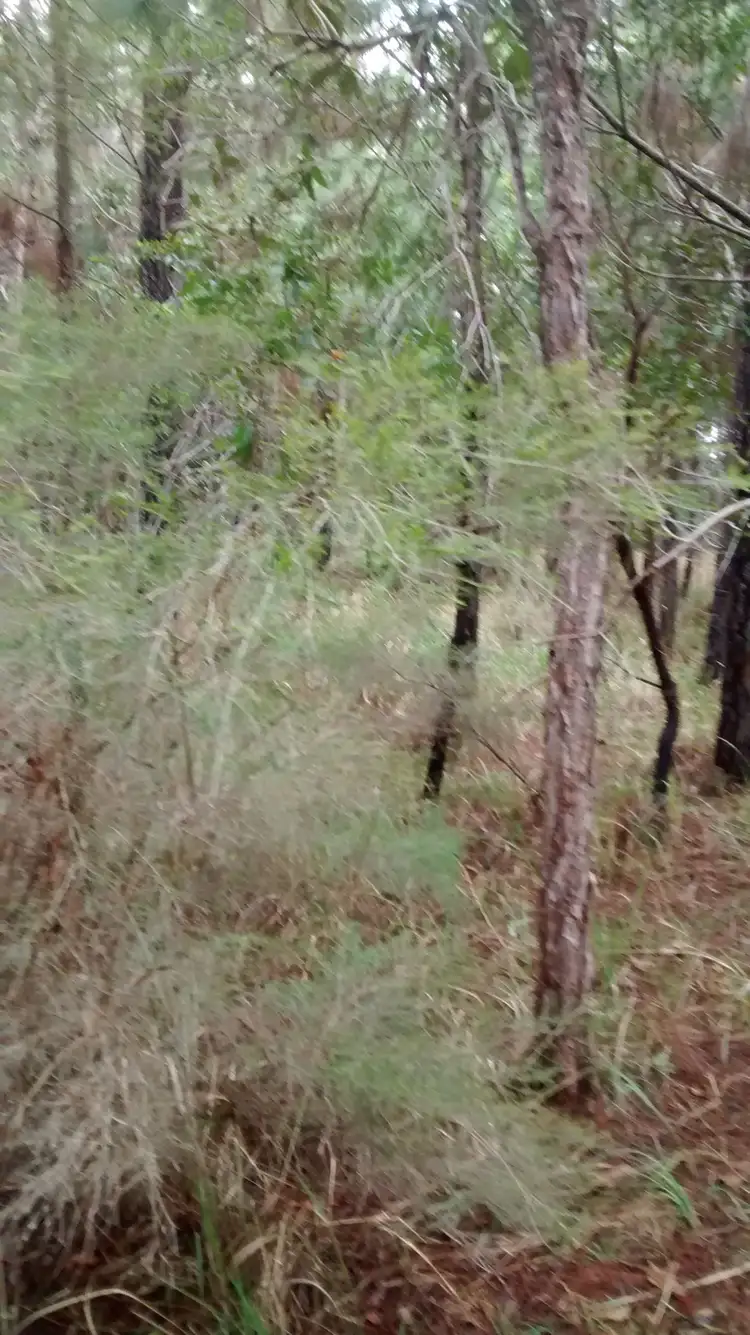Third view of Homely land listing, Lot 30 Australia Drive, Gulmarrad NSW 2463