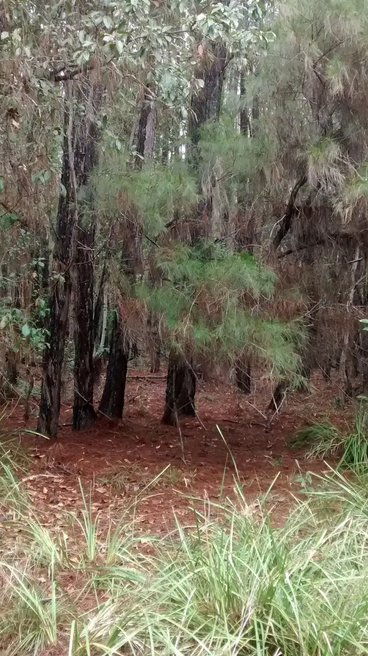 Sixth view of Homely land listing, Lot 30 Australia Drive, Gulmarrad NSW 2463