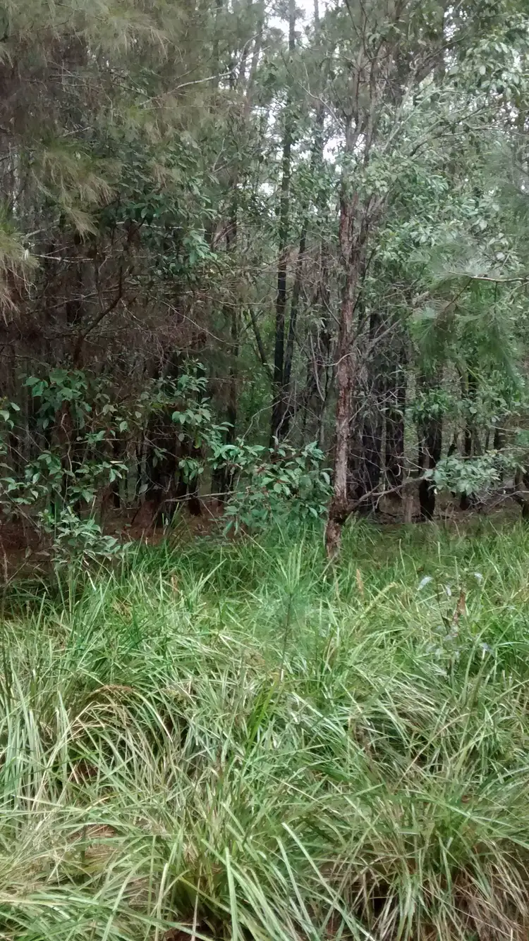 Seventh view of Homely land listing, Lot 30 Australia Drive, Gulmarrad NSW 2463