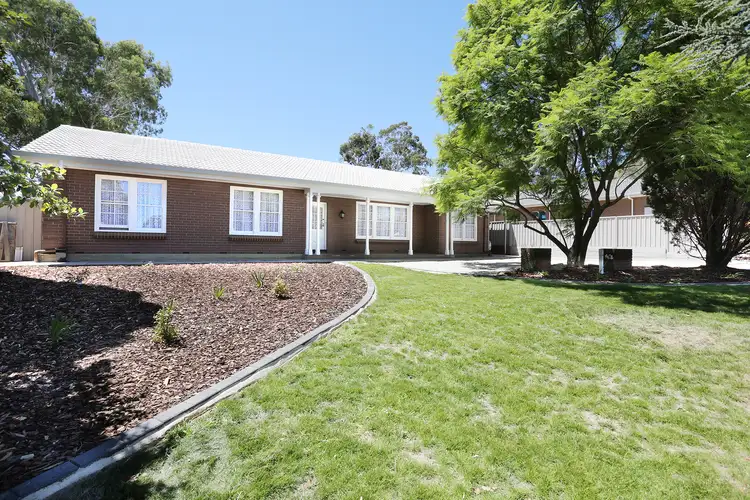 16 Buckley Cresent, Fairview Park SA 5126