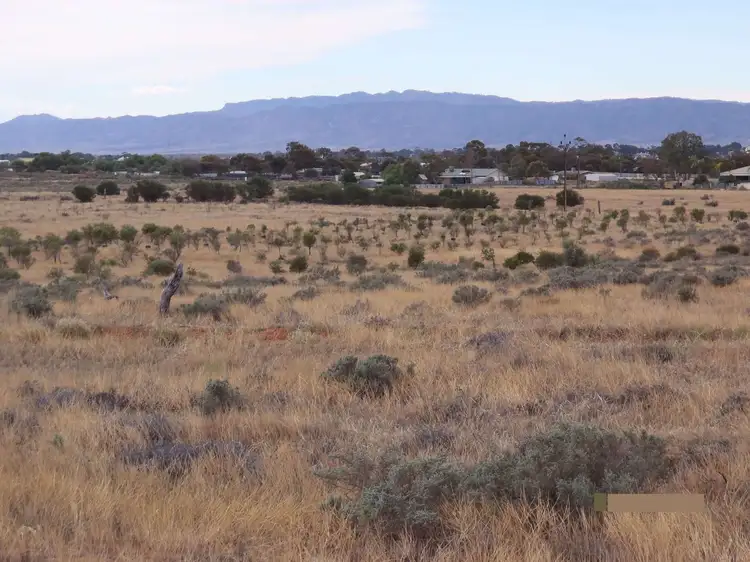 Seventh view of Homely land listing, 374 Caroona Road, Port Augusta West SA 5700