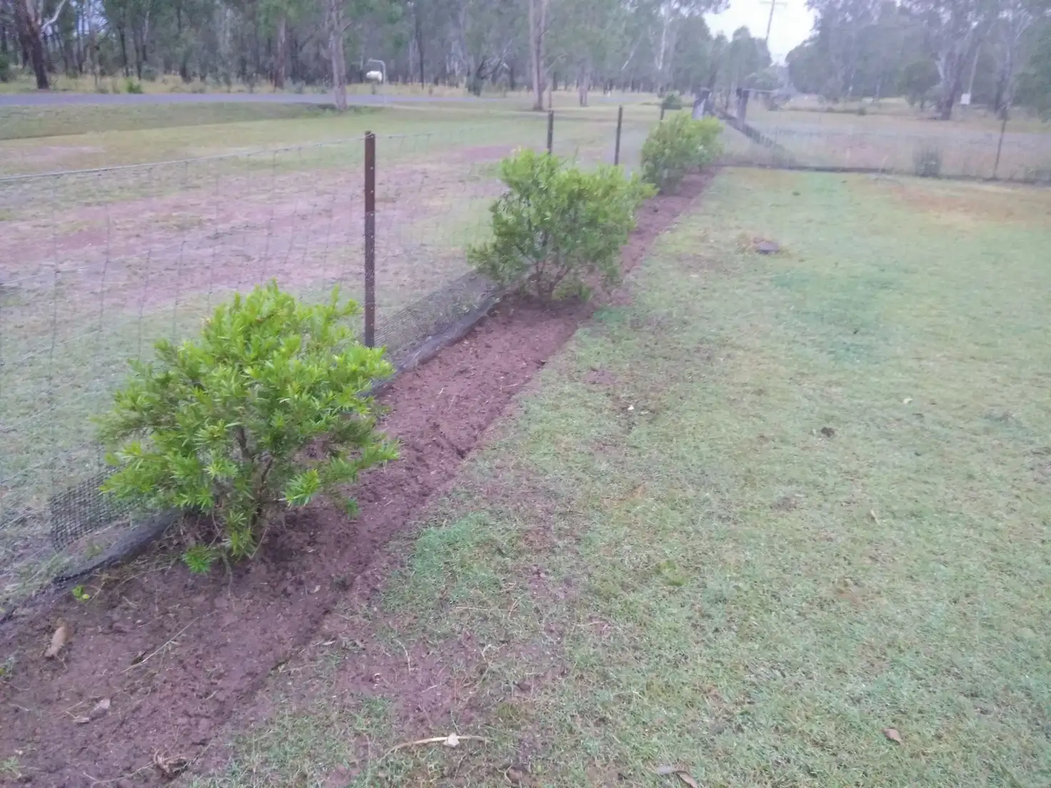 Main view of Homely rural property listing, 1808 Memerambi Barkers Creek Rd, Wattle Camp QLD 4615