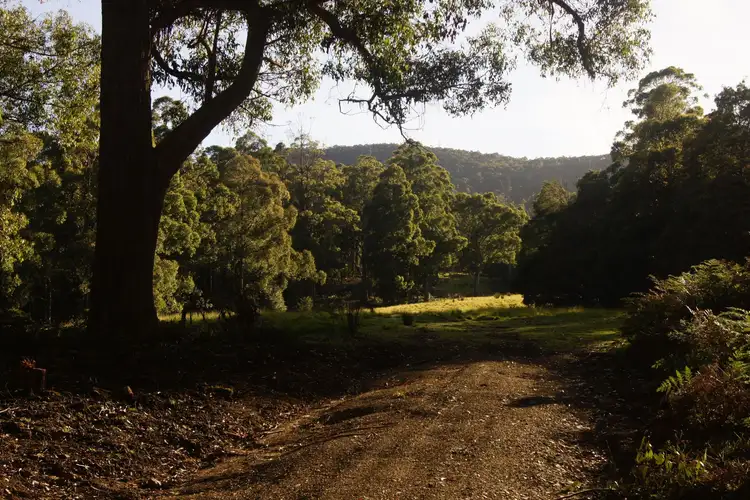 Sixth view of Homely land listing, 197 Sculthorpes Road, Nicholls Rivulet TAS 7112