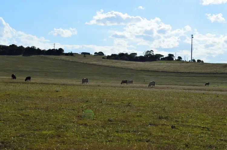 Fourth view of Homely land listing, Lot 9 Border Road, Killarney QLD 4373