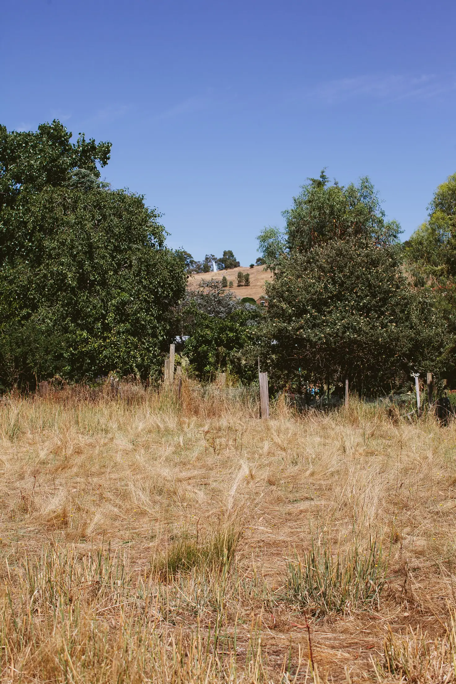 Main view of Homely land listing, 27 Fryers St, Guildford VIC 3451