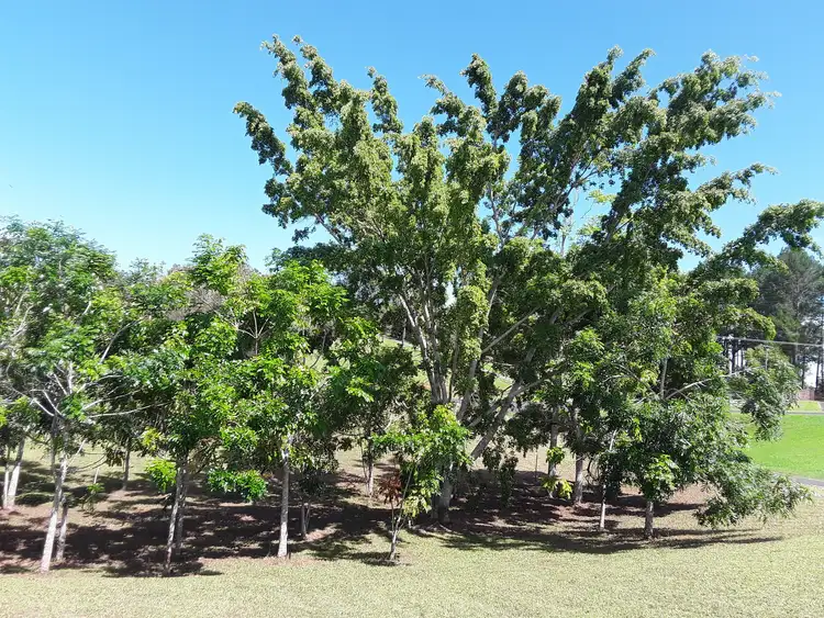 Fifth view of Homely house listing, 7 Fox Close, Barrine QLD 4872