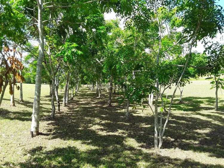 Sixth view of Homely house listing, 7 Fox Close, Barrine QLD 4872