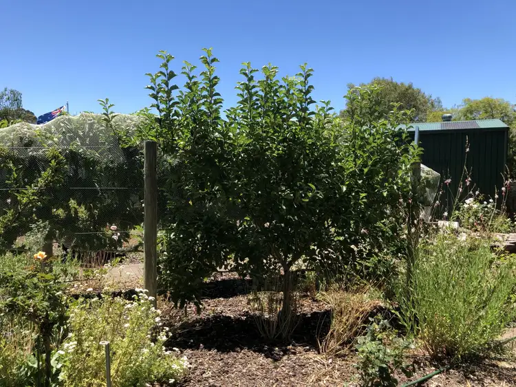 Fourth view of Homely land listing, 13A Lisa Court, Macclesfield SA 5153