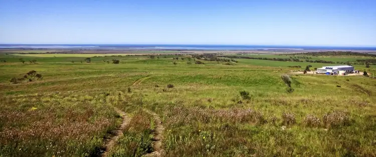 Second view of Homely rural property listing, 387 Birdseye Hwy, Cowell SA 5602
