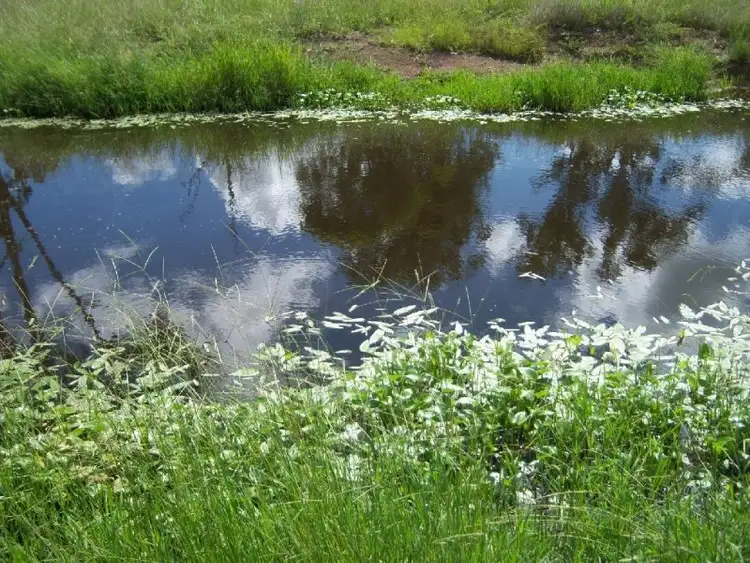 Second view of Homely rural property listing, Off Mount Woowoonga Road, Via Biggenden, Woowoonga QLD 4621