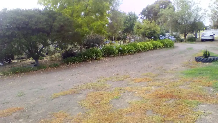 Fourth view of Homely rural property listing, 42 Wilson Street, Derrinallum VIC 3325