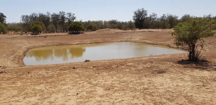 Main view of Homely rural property listing, 1691 Gundabloui Road, Collarenebri NSW 2833