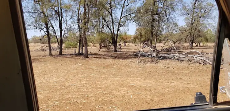 Second view of Homely rural property listing, 1691 Gundabloui Road, Collarenebri NSW 2833