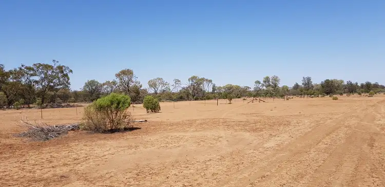 Fourth view of Homely rural property listing, 1691 Gundabloui Road, Collarenebri NSW 2833