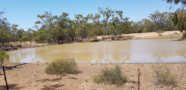 Fifth view of Homely rural property listing, 1691 Gundabloui Road, Collarenebri NSW 2833