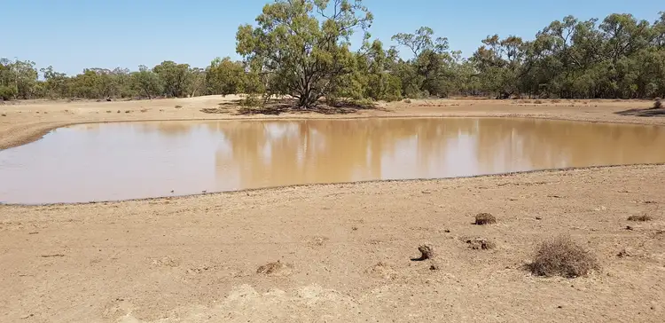 Sixth view of Homely rural property listing, 1691 Gundabloui Road, Collarenebri NSW 2833