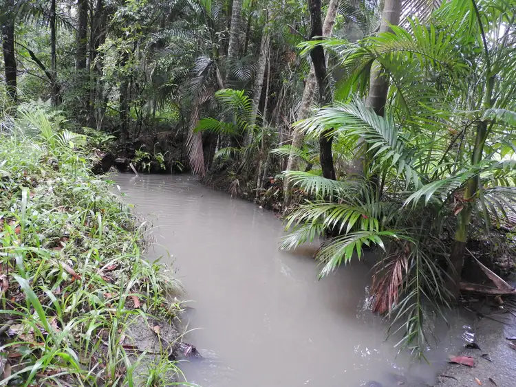 Fourth view of Homely land listing, 149 Kirra Road, Maroochy River QLD 4561