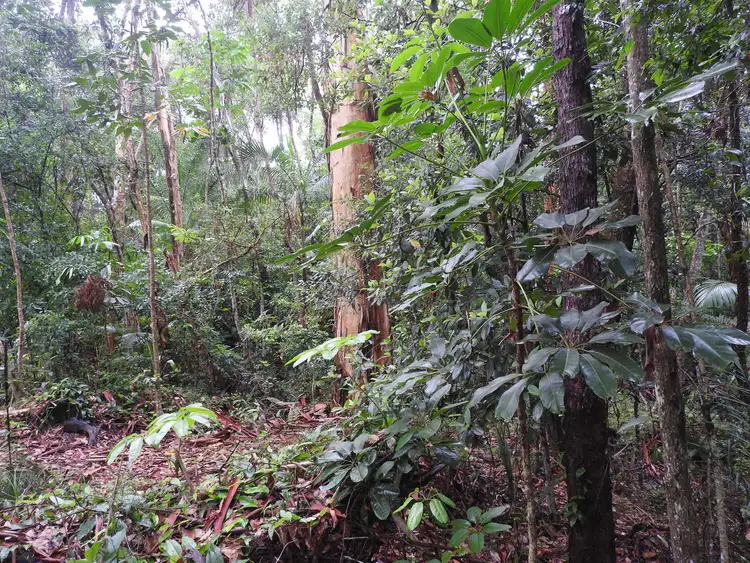 Fifth view of Homely land listing, 149 Kirra Road, Maroochy River QLD 4561