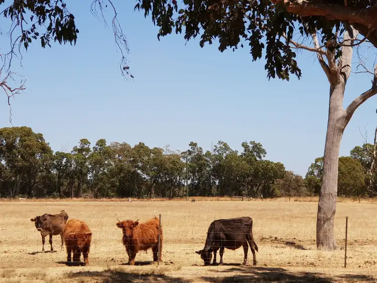 Seventh view of Homely house listing, 26 Longridge Road, Keysbrook WA 6126