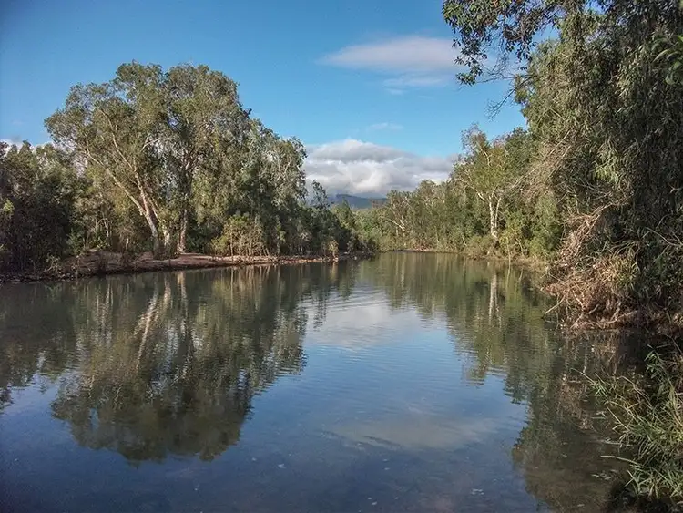 Second view of Homely house listing, 478 Forestry Road, Bluewater Park QLD 4818