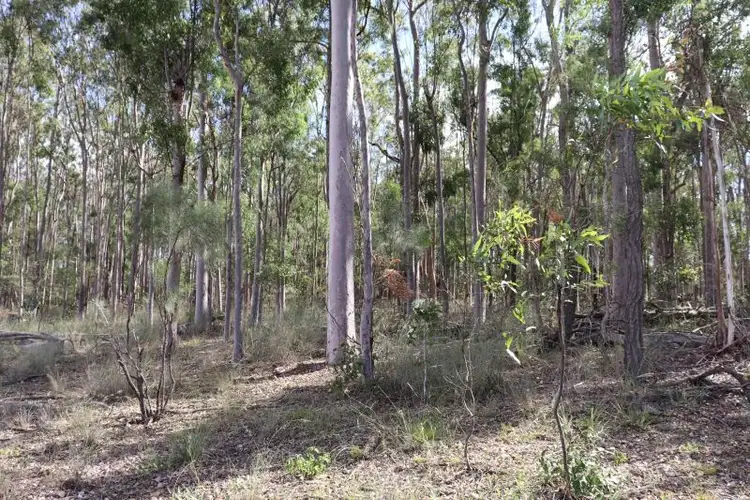 Seventh view of Homely land listing, 250 Kintyre Road, Cushnie QLD 4608