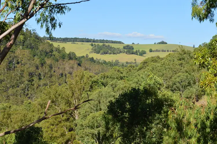 Lot 5 Acacia Plateau Road, Legume NSW 2476