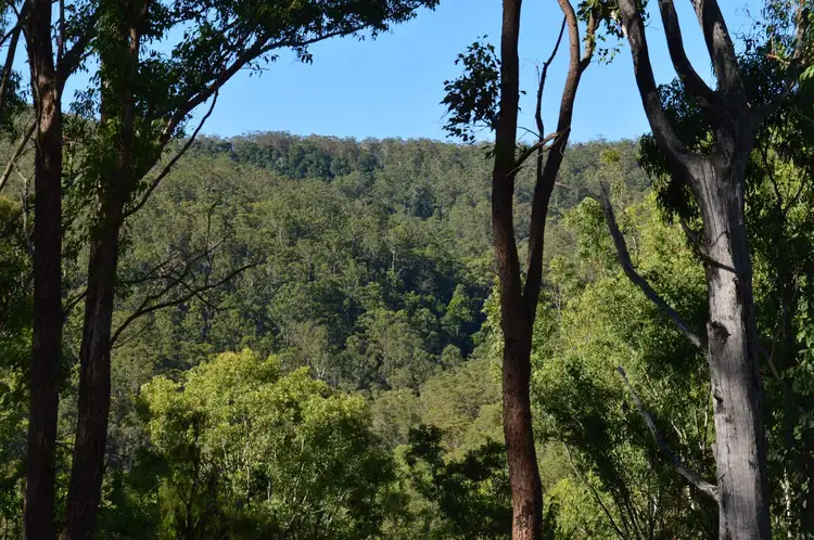Sixth view of Homely land listing, Lot 5 Acacia Plateau Road, Legume NSW 2476
