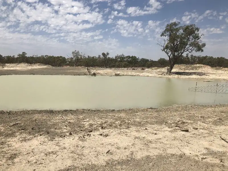 Main view of Homely rural property listing, - Corella, Bourke NSW 2840