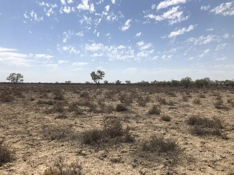 Sixth view of Homely rural property listing, - Corella, Bourke NSW 2840