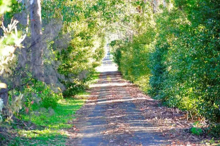 Second view of Homely house listing, 66 Yarrabee Terrace, Stokers Siding NSW 2484