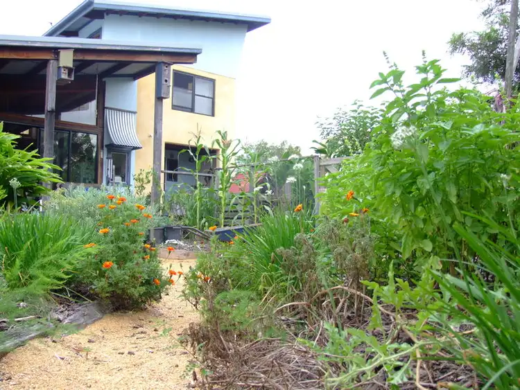 Main view of Homely house listing, 11 MacDougall Street, Corindi Beach NSW 2456