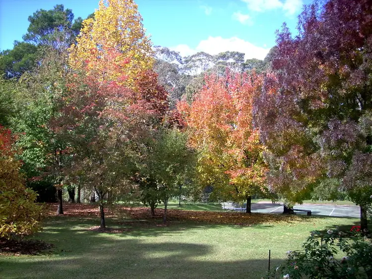 Fifth view of Homely rural property listing, 14 Johnsons Road, Bilpin NSW 2758
