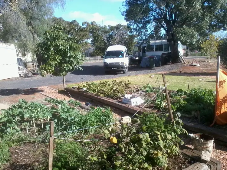 Sixth view of Homely house listing, 102 Umang Street, Tottenham NSW 2873