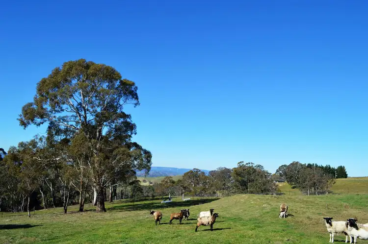 Sixth view of Homely rural property listing, 831 Jenolan Caves Road, Hartley NSW 2790