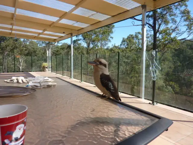 Main view of Homely rural property listing, 89 Roberts Creek Road, Blaxlands Ridge NSW 2758