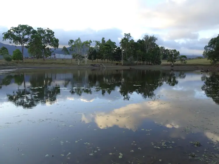 Fourth view of Homely rural property listing, 17 McDougall Road, Julatten QLD 4871