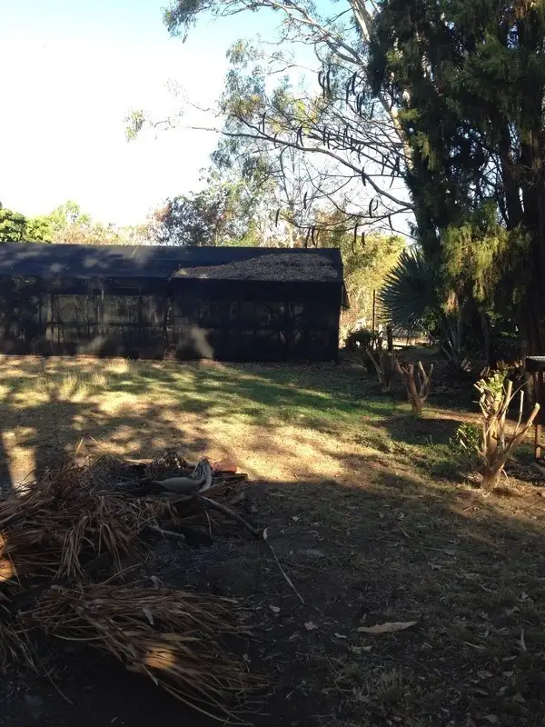 Seventh view of Homely house listing, 31 Hinchcliffe Ave, Bouldercombe QLD 4702