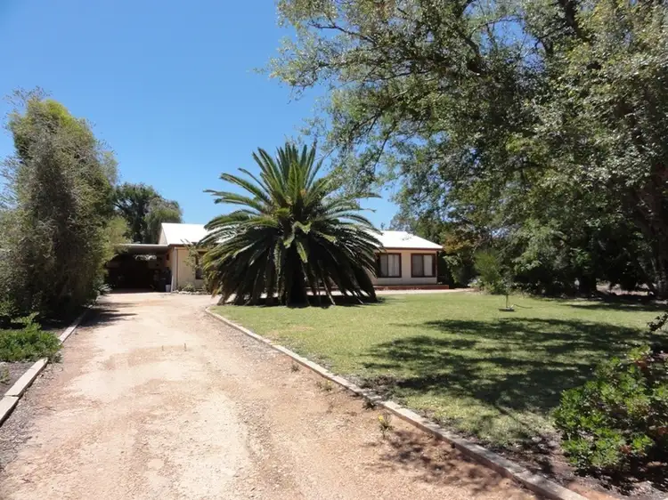 Second view of Homely rural property listing, 9 Riverview Drive, Paringa SA 5340