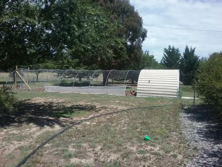 Third view of Homely rural property listing, 72 Victoria st, Sutton NSW 2620