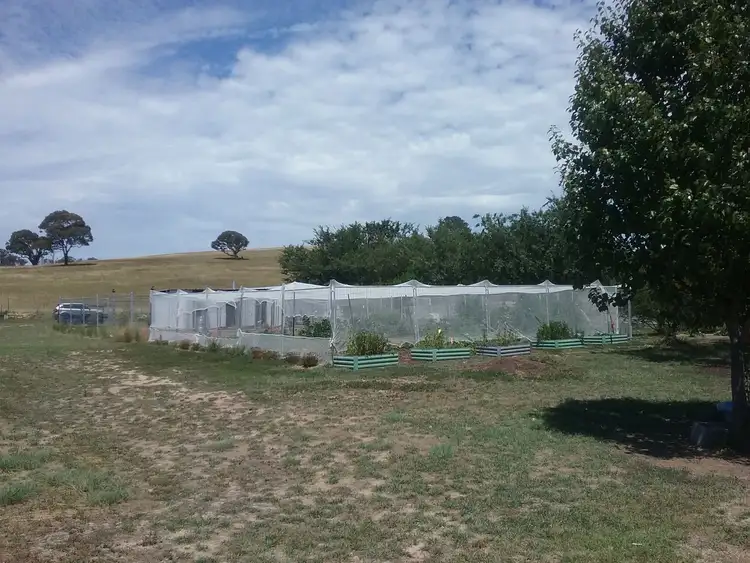 Fourth view of Homely rural property listing, 72 Victoria st, Sutton NSW 2620