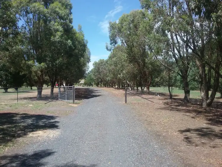 Fifth view of Homely rural property listing, 72 Victoria st, Sutton NSW 2620