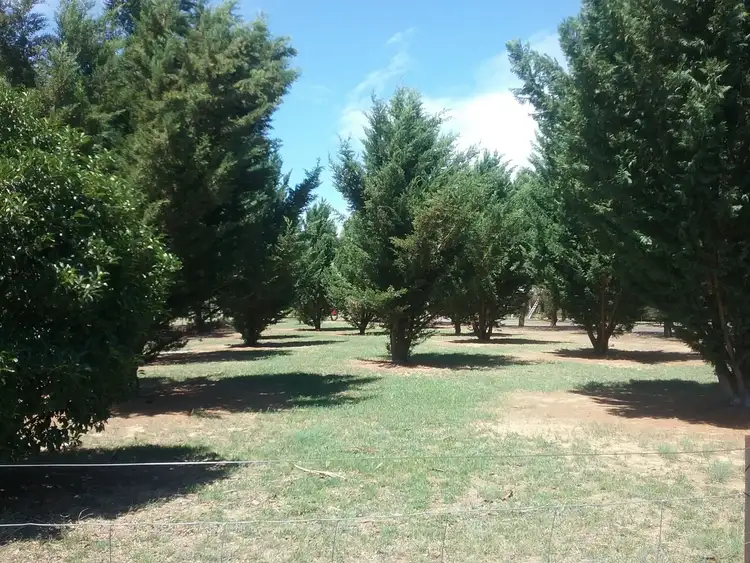 Seventh view of Homely rural property listing, 72 Victoria st, Sutton NSW 2620